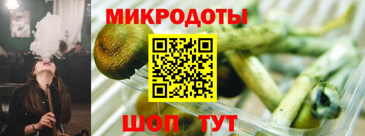 Дзержинск  цена наркотик  Вход с VPN  Псилоцибиновые грибы GOLDEN TEACHER  Псилоцибиновые грибы мухоморы 